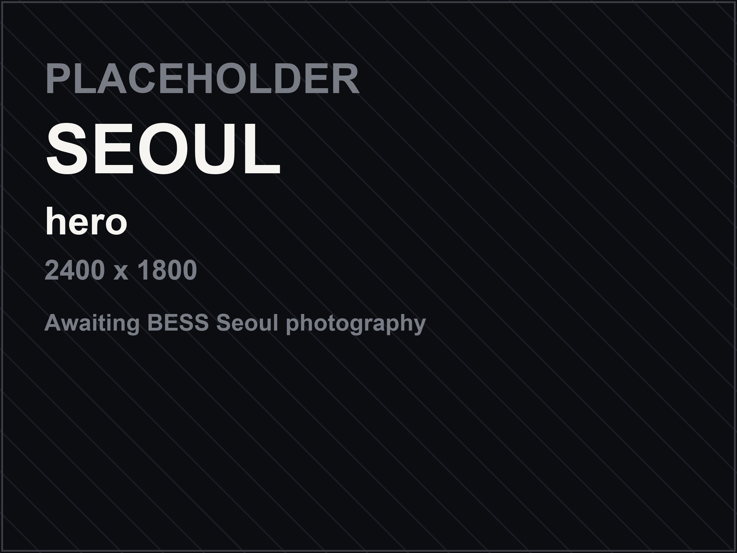Placeholder image awaiting BESS Seoul photography
